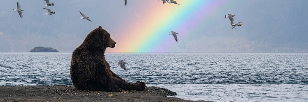 A peaceful bear sitting on a beach watching a rainbow over the sea while seagulls fly